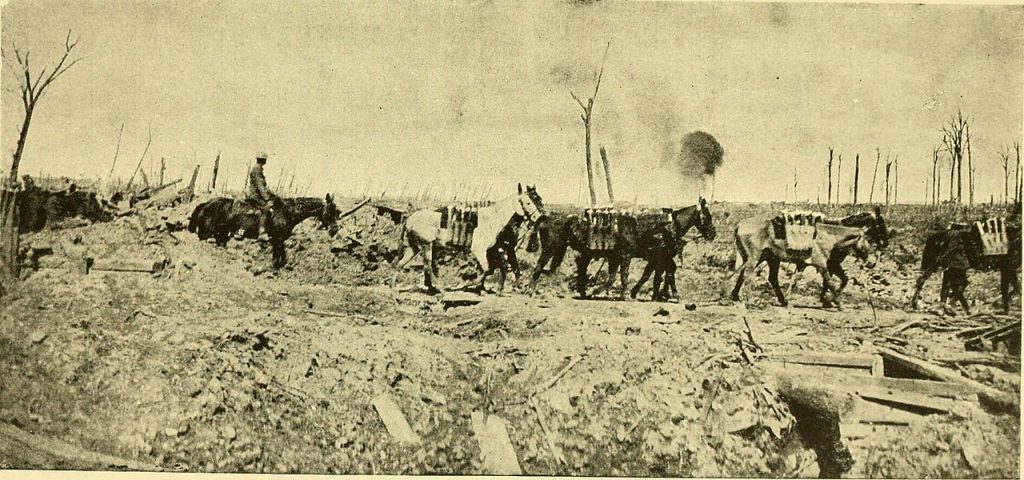 <a title="Galtrey, Sidney, 1878-1935, No restrictions, via Wikimedia Commons" href="https://commons.wikimedia.org/wiki/File:The_horse_and_the_war_(1918)_(14591026097).jpg"><img decoding=